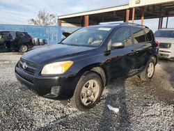 Salvage cars for sale at Riverview, FL auction: 2011 Toyota Rav4