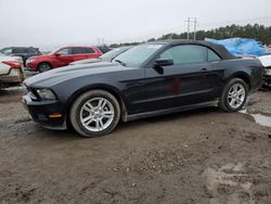 Vehiculos salvage en venta de Copart Greenwell Springs, LA: 2010 Ford Mustang