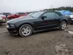 2010 Ford Mustang