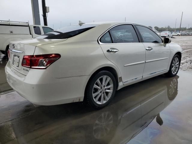 2010 Lexus ES 350