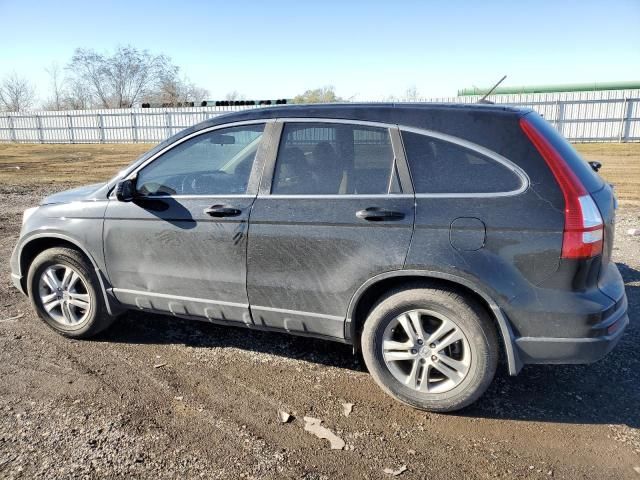 2010 Honda CR-V EXL