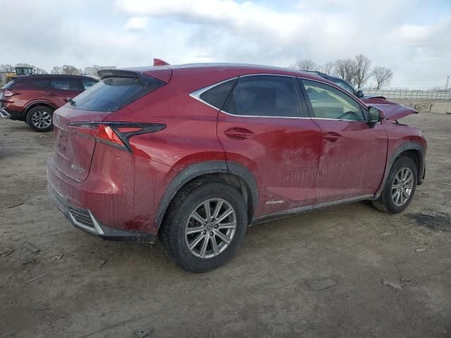 2021 Lexus NX 300H Base