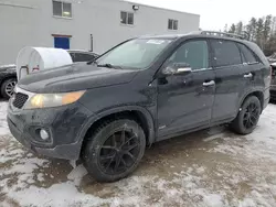 KIA Vehiculos salvage en venta: 2011 KIA Sorento EX