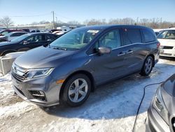 Honda Vehiculos salvage en venta: 2019 Honda Odyssey EXL