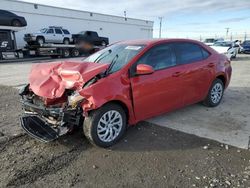 Salvage cars for sale at auction: 2018 Toyota Corolla L