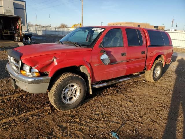 2000 Dodge Dakota Quattro