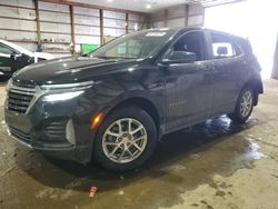 Salvage cars for sale at Columbia Station, OH auction: 2024 Chevrolet Equinox LT