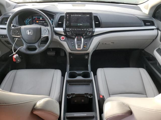 2023 Honda Odyssey EXL