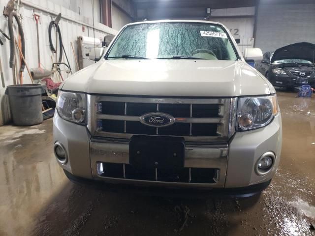 2012 Ford Escape Limited