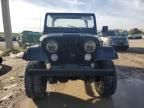 1981 Jeep Jeep CJ7