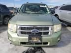 2008 Ford Escape XLT