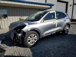 Salvage cars for sale at Earlington, KY auction: 2022 Ford Escape S