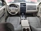 2011 Ford Escape XLS