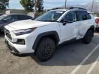 2023 Toyota Rav4 TRD OFF Road