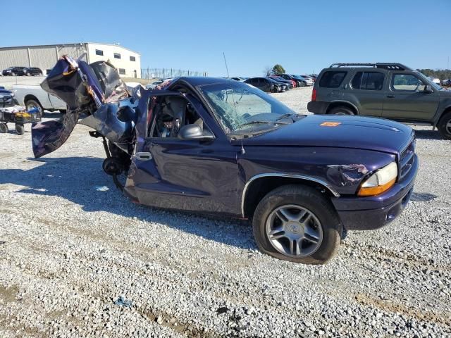 1999 Dodge Dakota