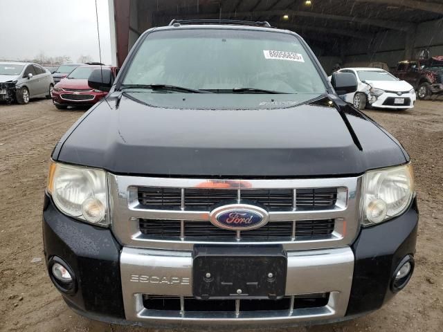 2010 Ford Escape Limited