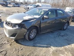 Salvage cars for sale at Waldorf, MD auction: 2013 Toyota Camry L