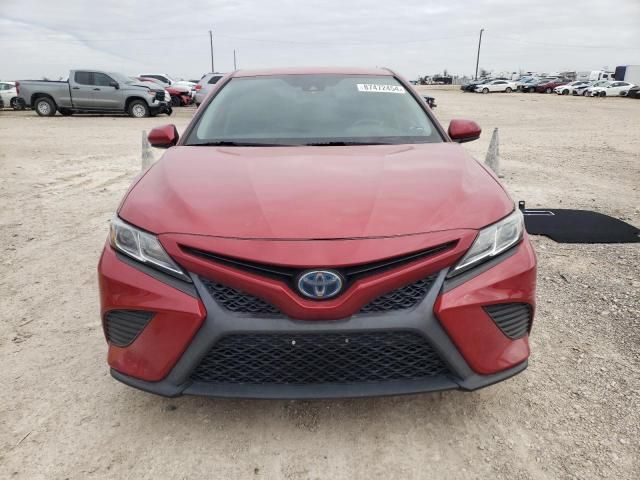 2019 Toyota Camry Hybrid