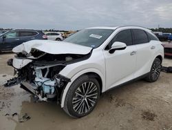 Salvage cars for sale at Houston, TX auction: 2024 Lexus RX 350 Base