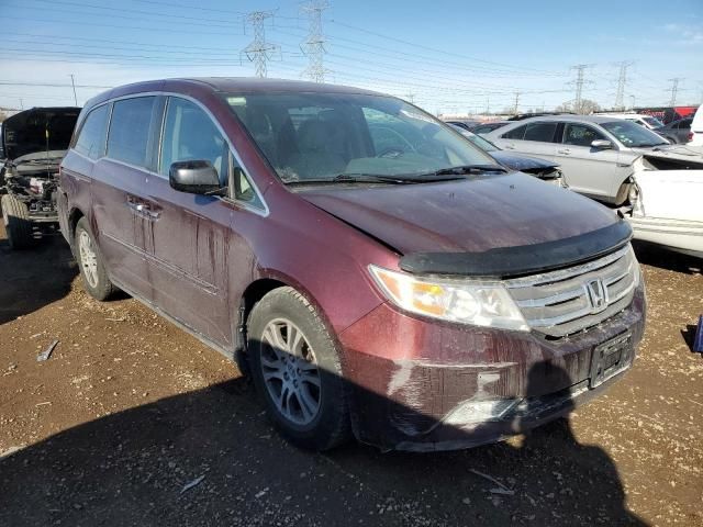 2013 Honda Odyssey EXL