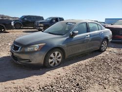 Salvage cars for sale at Phoenix, AZ auction: 2008 Honda Accord EXL