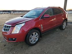 Salvage cars for sale from Copart Tanner, AL: 2012 Cadillac SRX Luxury Collection