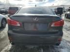 2009 Lexus IS 250