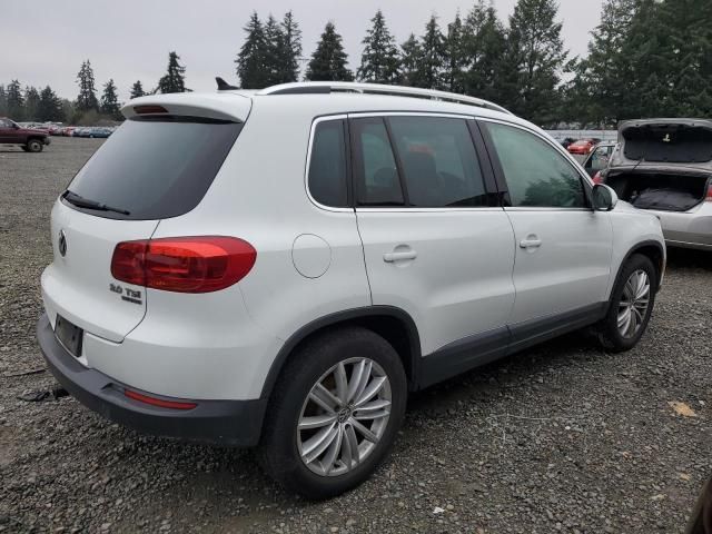 2015 Volkswagen Tiguan S