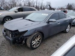 Salvage cars for sale at auction: 2010 Nissan Maxima S