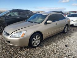 2005 Honda Accord EX en venta en Magna, UT