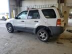 2003 Ford Escape XLT