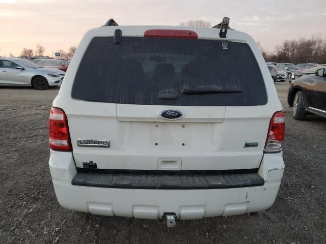 2012 Ford Escape XLT