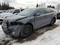 Toyota Vehiculos salvage en venta: 2011 Toyota Venza