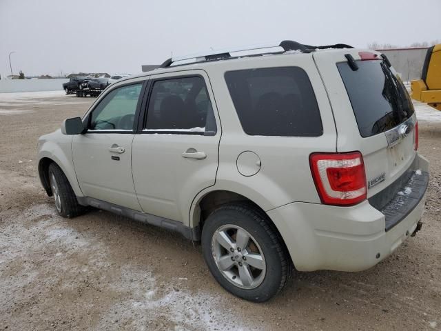 2009 Ford Escape Limited