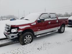 Ford salvage cars for sale: 2013 Ford F150 Supercrew