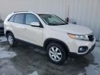 2011 KIA Sorento Base