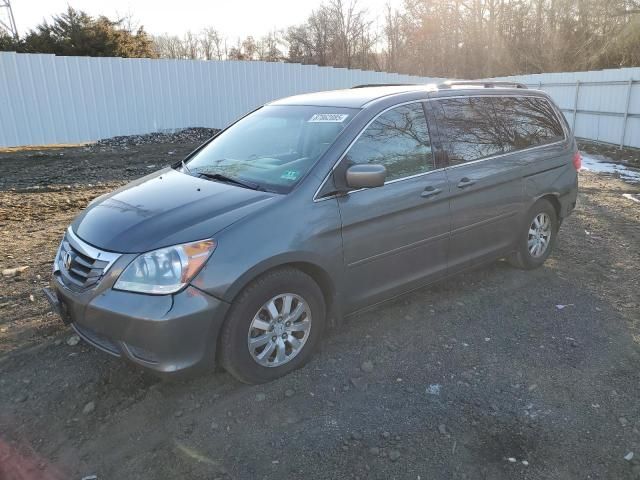 2008 Honda Odyssey EX