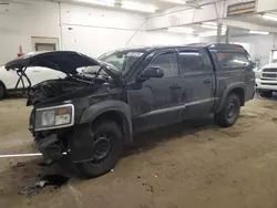 Salvage trucks for sale at Ham Lake, MN auction: 2011 Dodge Dakota SLT