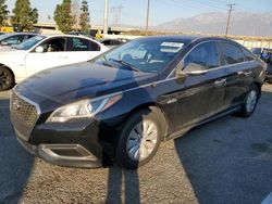 2016 Hyundai Sonata Hybrid en venta en Rancho Cucamonga, CA