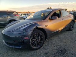 Salvage cars for sale at Antelope, CA auction: 2023 Tesla Model 3