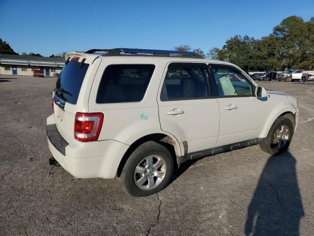 2010 Ford Escape Limited