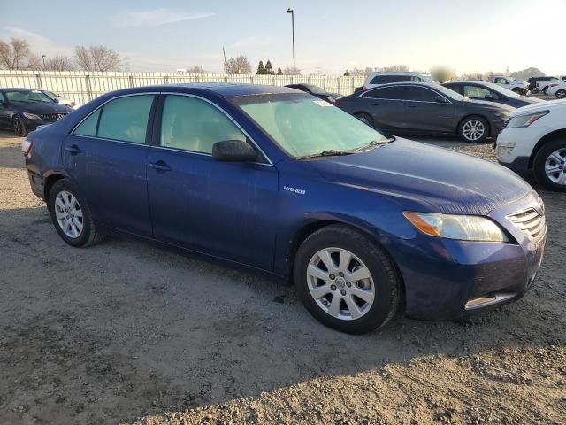 2009 Toyota Camry Hybrid