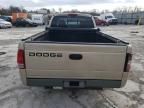 2002 Dodge Dakota Base