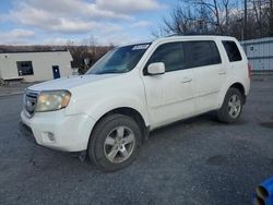 Honda Pilot salvage cars for sale: 2011 Honda Pilot EX