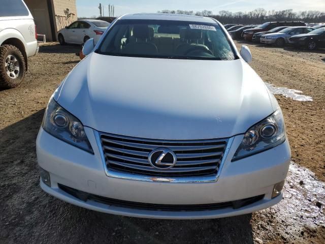 2010 Lexus ES 350