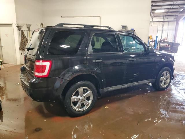 2011 Ford Escape XLT