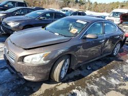 Nissan salvage cars for sale: 2013 Nissan Maxima S