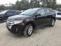 Salvage cars for sale at Ocala, FL auction: 2014 Ford Edge SEL