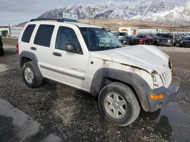 2002 Jeep Liberty Sport