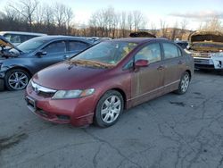 Honda Civic Vehiculos salvage en venta: 2010 Honda Civic LX